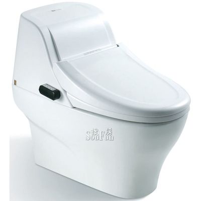 东鹏ZGWC680-T(F)003卫洗宝智能座便器 现代卫生洁具的智能之选
